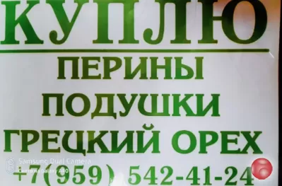 Куплю перины, подушки, грецкий орех